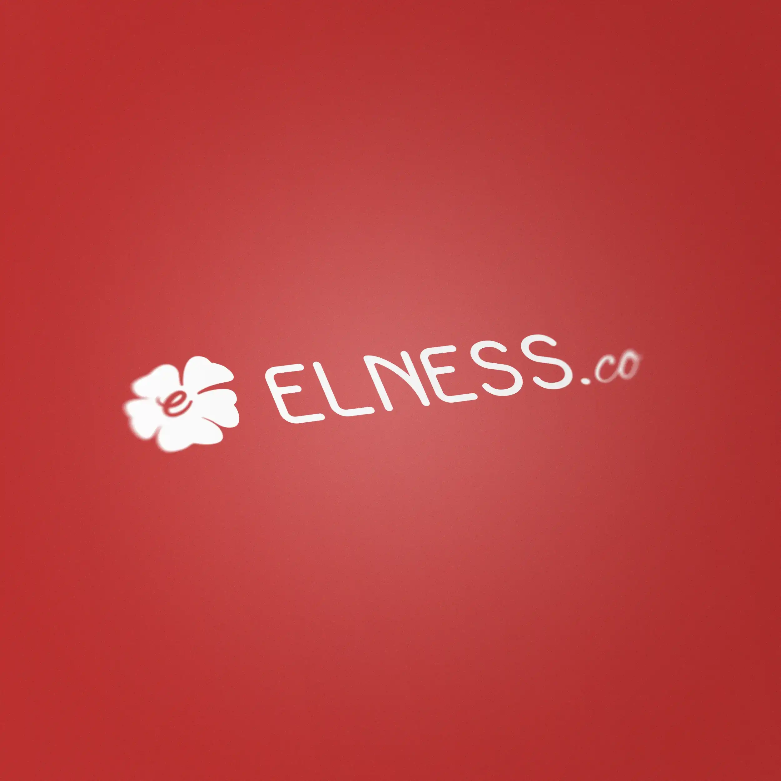 projet : Elness