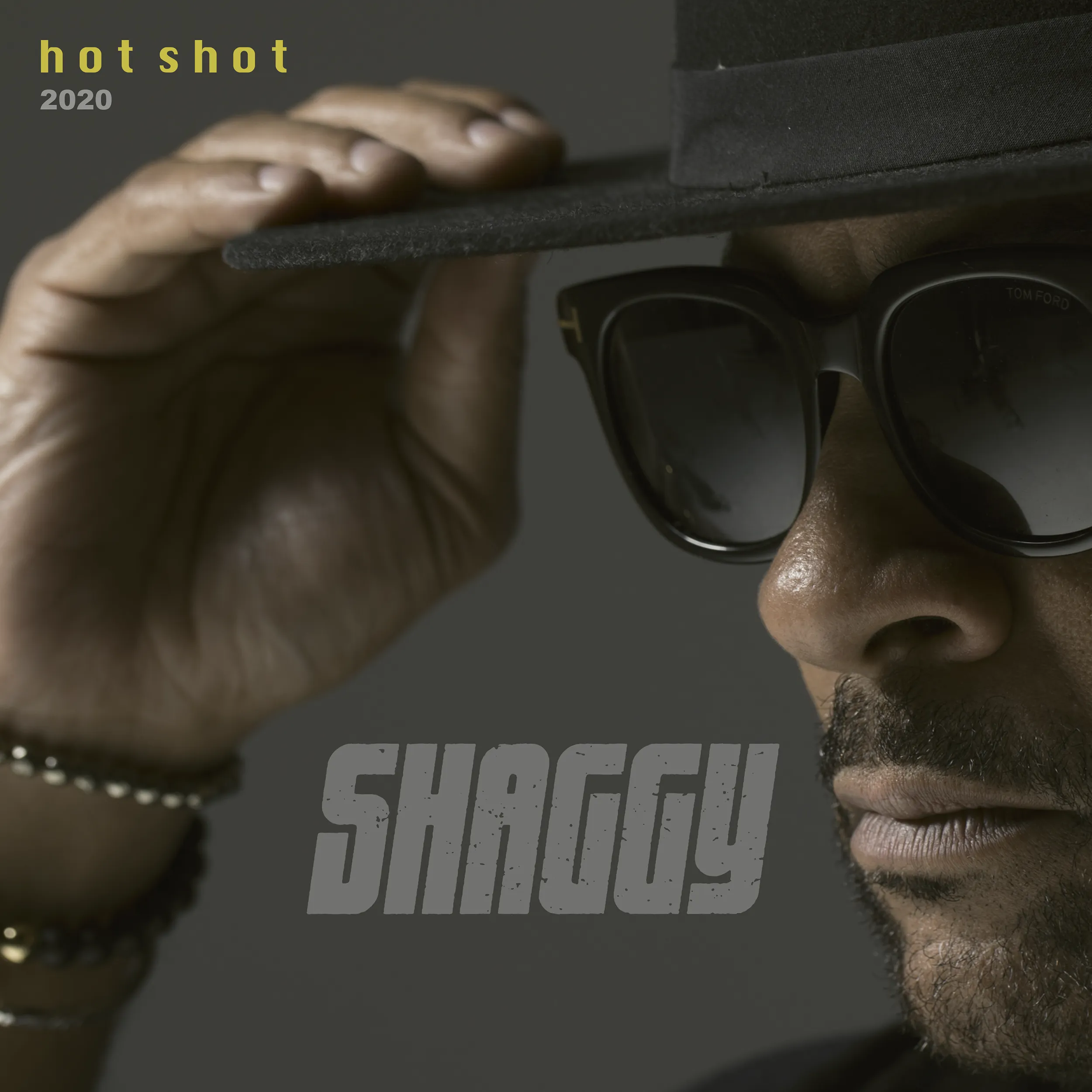 projet : Shaggy - Hotshot 2020