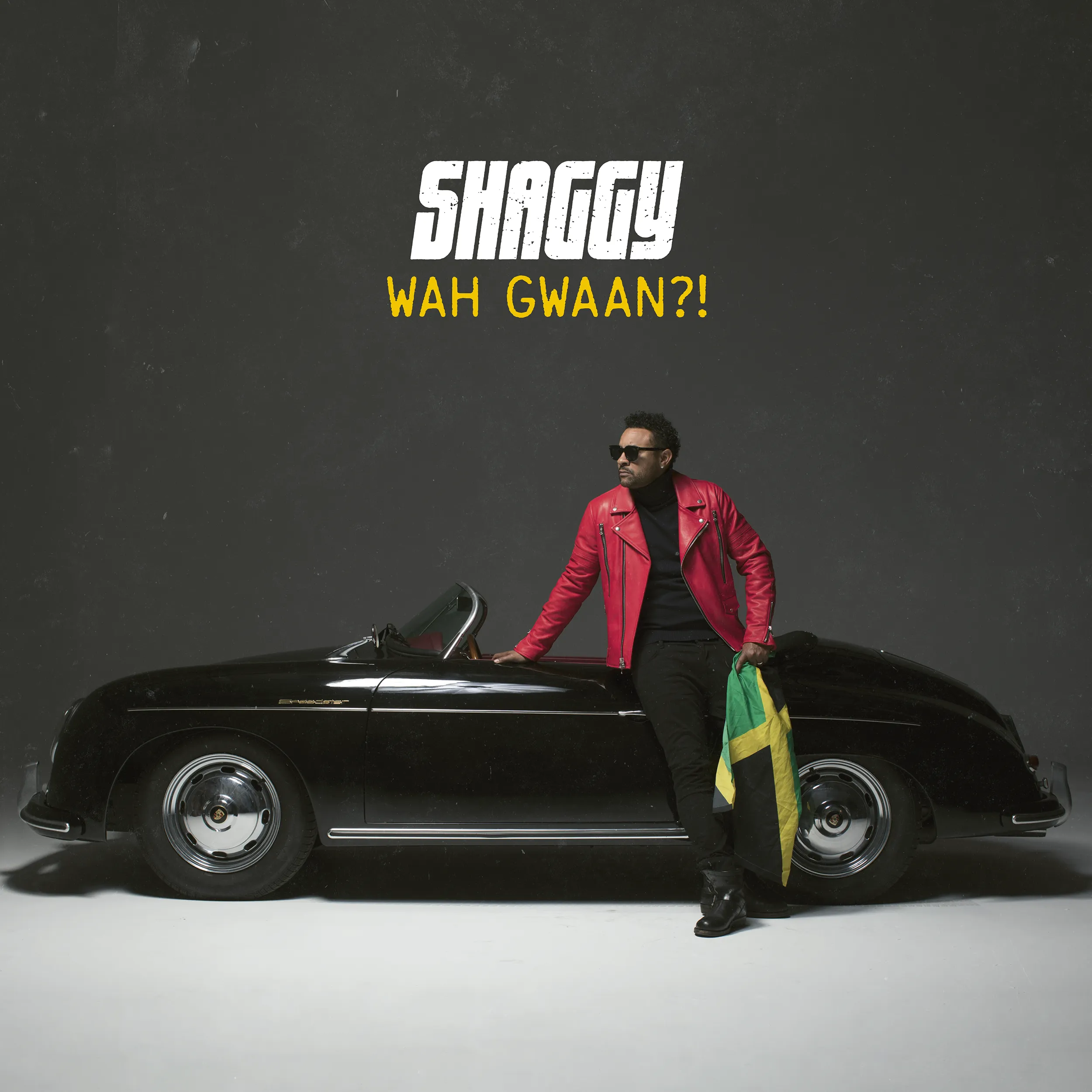 projet : Shaggy - Wah Gwaan?!